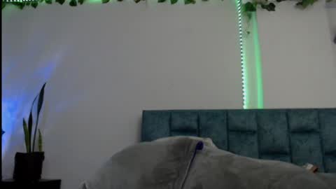 Dannia online show from January 2025 07:51:02 PM