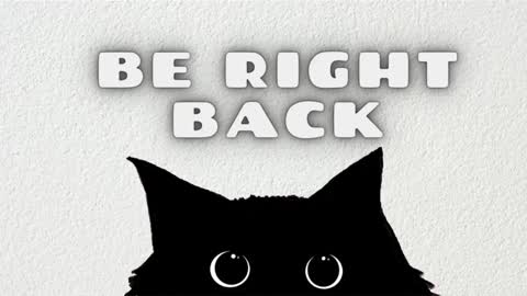 Sam  online show from January 2025 11:34:02 AM