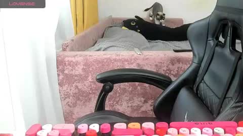 Snapshot of _feralberry__ chatting on June 2026 03:55:02 AM Alis online show from June 2026 03:55:02 AM