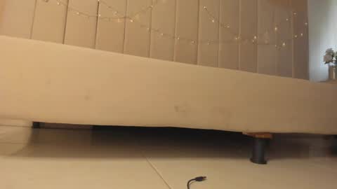 Snapshot of _frida_1 chatting on January 2025 07:13:01 PM Frida online show from January 2025 07:13:01 PM