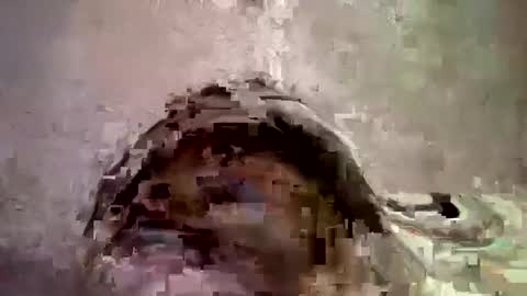 Snapshot of _hershey003 chatting on January 2025 08:33:01 AM _hershey003 online show from January 2025 08:33:01 AM