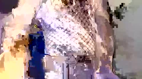  incocknito  online show from December 2025 05:40:02 PM