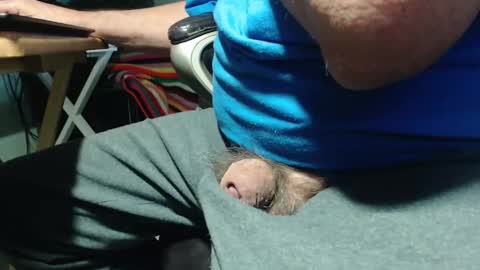 _jimmini online show from April 2026 08:28:02 PM