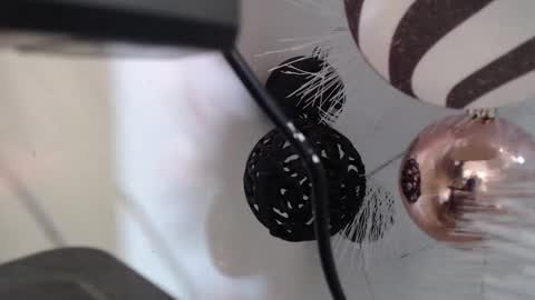 Snapshot of _kat_sweet chatting on December 2025 03:12:02 AM Cata online show from December 2025 03:12:02 AM