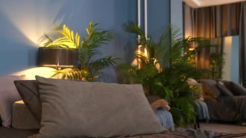 Snapshot of _keti_ chatting on November 2025 11:29:01 PM FANSLY --- anal in private 700 tokens online show from November 2025 11:29:01 PM