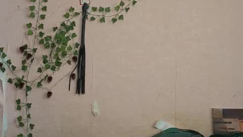 Snapshot of _kikiclark_ chatting on February 2026 09:20:01 AM _kikiclark_ online show from February 2026 09:20:01 AM