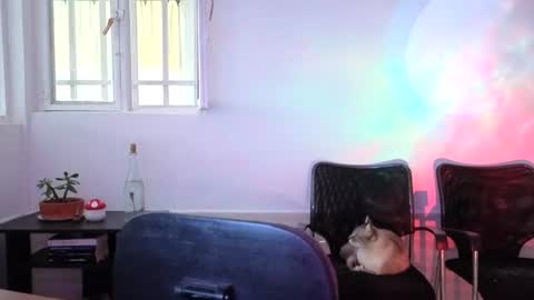 Snapshot of _lunablondie_ chatting on August 2026 02:31:01 PM _lunablondie_ online show from August 2026 02:31:01 PM