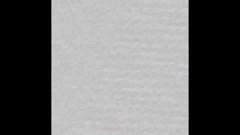 _maccaa_ online show from October 2025 11:16:01 AM