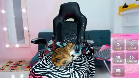 Juli online show from February 2026 06:02:02 PM