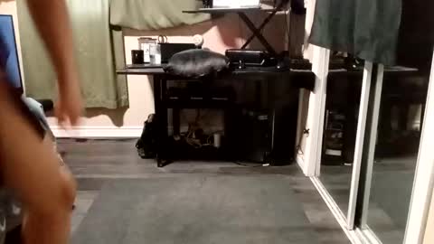 Olivia online show from November 2025 12:16:02 PM