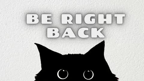 Stefany online show from February 2026 11:08:01 PM