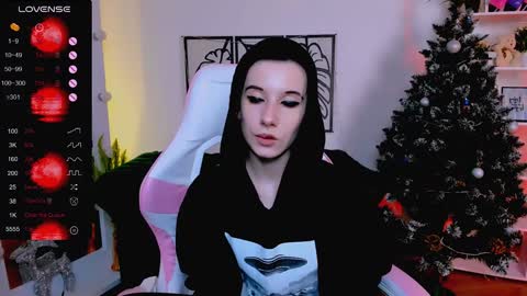 Rein online show from January 2025 12:24:01 PM