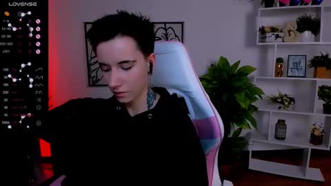 Rein online show from February 2025 12:36:01 PM