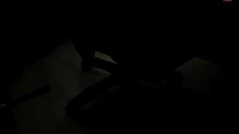 Selene online show from November 2025 01:44:02 PM