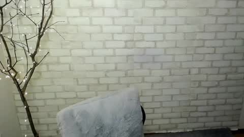 Rachel online show from March 2025 02:34:01 PM