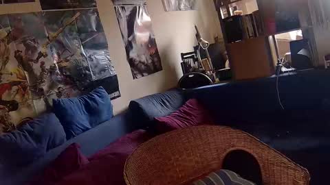 Sven online show from November 2025 01:01:01 PM