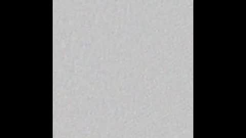    online show from October 2025 02:56:02 PM