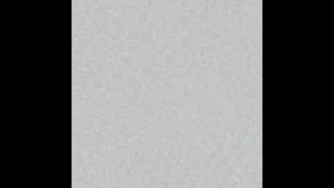 _tammarra_ online show from February 2025 02:54:02 PM