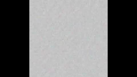 _tammarra_ online show from March 2025 12:11:02 PM