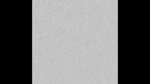 _tammarra_ online show from February 2026 12:09:01 PM