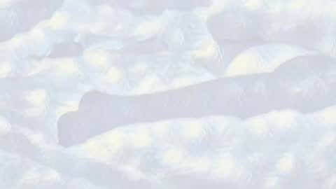 Evi online show from January 2025 10:44:02 PM