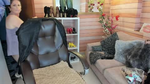 Sol online show from March 2026 10:59:02 AM