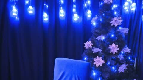    online show from December 2024 10:01:02 PM