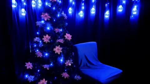    online show from January 2025 01:04:02 AM