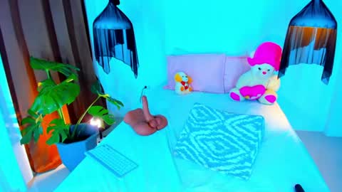 Xynara online show from June 2026 11:27:02 PM