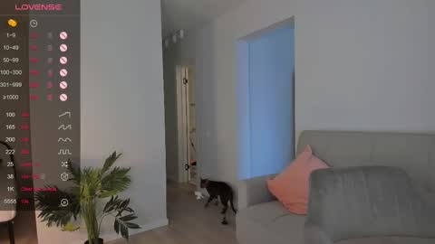 Tessa -  online show from February 2025 09:58:02 AM