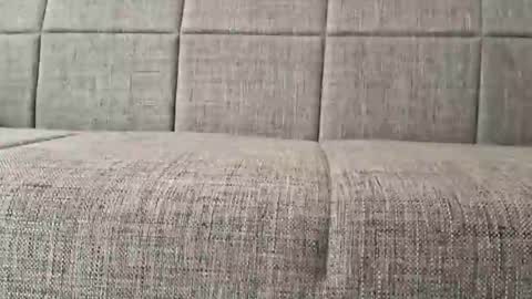 Snapshot of a7469 chatting on February 2025 05:22:01 PM XXL online show from February 2025 05:22:01 PM