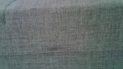 Snapshot of a7469 chatting on March 2025 09:39:02 AM XXL online show from March 2025 09:39:02 AM