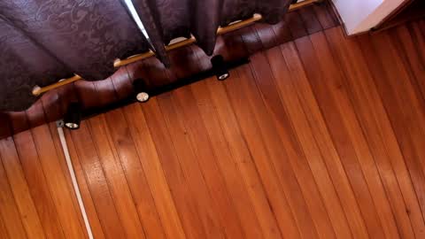 Aaron online show from December 2024 07:38:02 PM