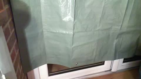 Aaron online show from December 2025 07:44:01 PM