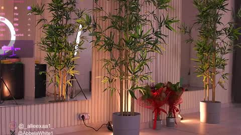 Alexa online show from February 2025 09:52:01 AM