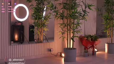 Alexa online show from February 2025 06:25:02 AM