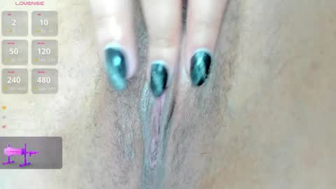   .   .   online show from February 2025 08:09:02 AM