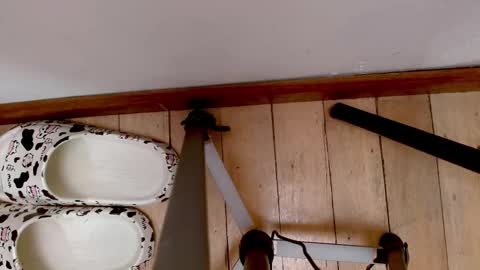 Abby online show from September 2025 03:52:01 AM