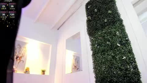 Abby  online show from February 2025 06:51:02 AM