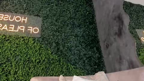 A B B Y online show from February 2025 02:44:02 PM