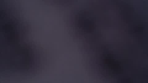 ABBY online show from February 2025 12:37:01 PM