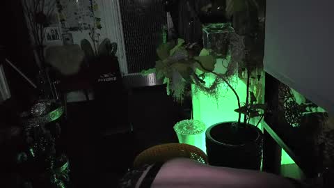 abracadanny777 online show from March 2026 01:04:01 PM