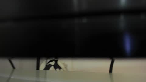 Abril 777 online show from February 2026 07:56:01 PM