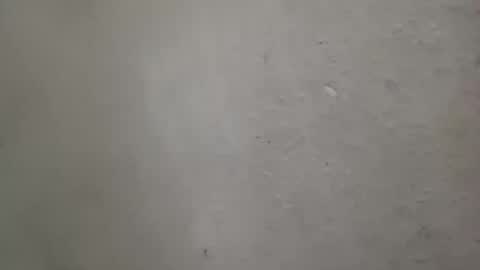 Snapshot of absltorres8 chatting on July 2026 07:57:01 AM absltorres8 online show from July 2026 07:57:01 AM