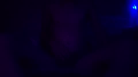 adamllamas online show from December 2024 05:48:01 AM