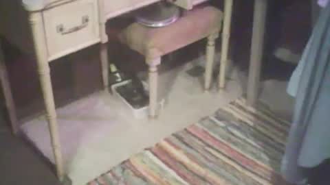 adamsny online show from April 2026 04:41:01 AM