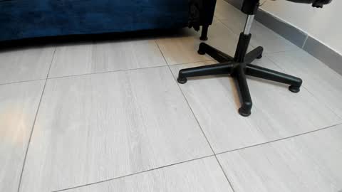 adbel sady online show from December 2024 11:06:01 AM