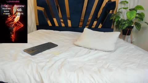 adbel sady online show from February 2025 02:15:01 PM