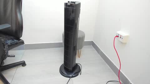 adbel sady online show from February 2025 11:22:02 AM