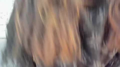 addi online show from December 2024 04:33:02 AM